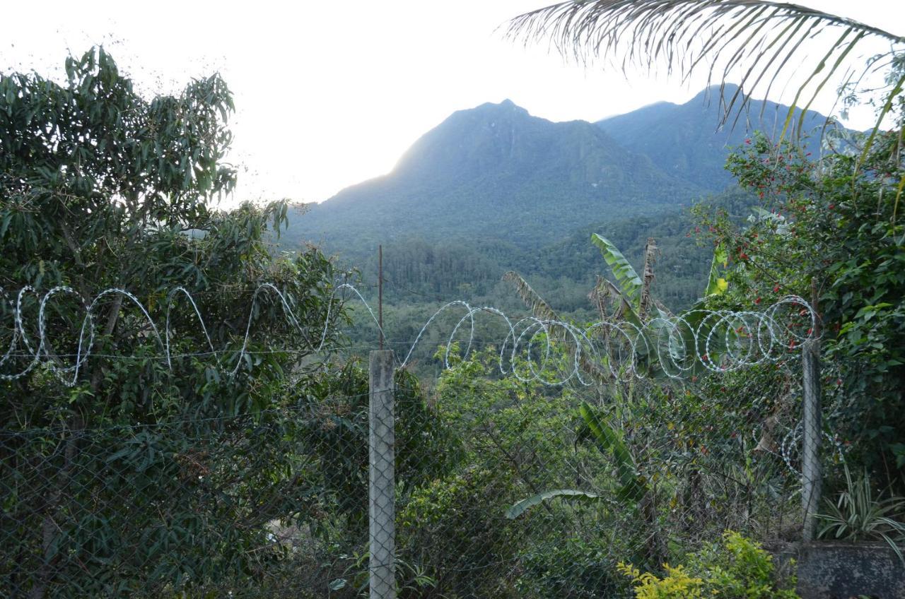 Casa Em Penedo Villa Penedo  Ngoại thất bức ảnh